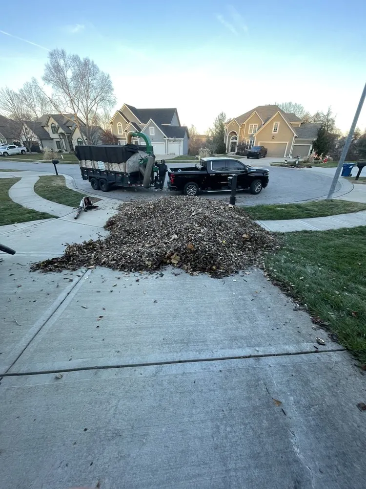 Affordable yard cleanup service experts serving Smithville, MO - Cutting Edge Lawn Solutions