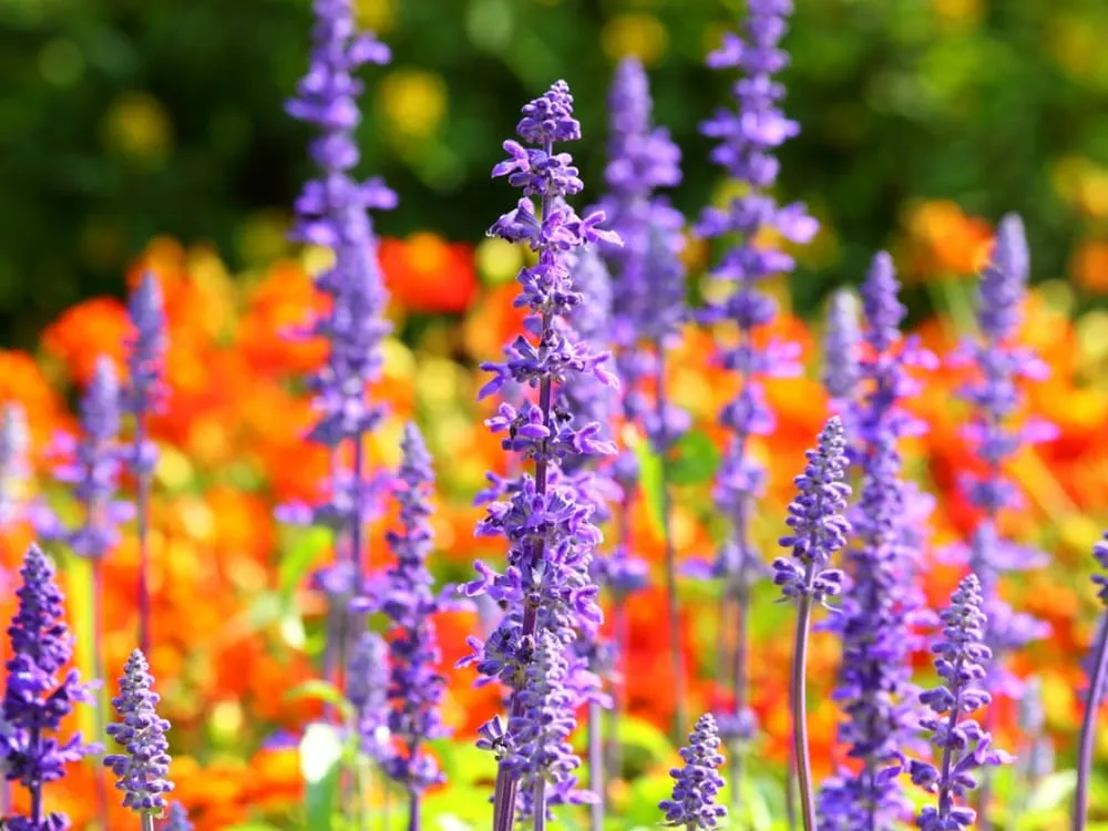 Reliable landscaping services in Battle Creek, MI - Cutting Edge LawnCare & Landscape