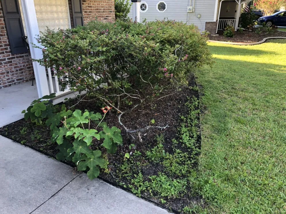 Expert residential landscaping experts serving Palm Coast, FL - Cutting Edge Lawncare & More