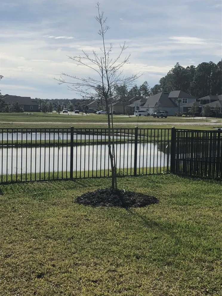 Local garden landscaping in Palm Coast, FL - Cutting Edge Lawncare & More