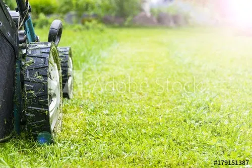 Cutting Edge Lawncare & More Logo