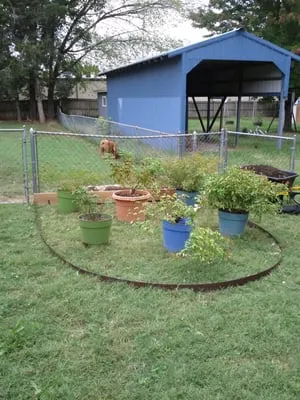 Cutting Edge Lawncare Logo