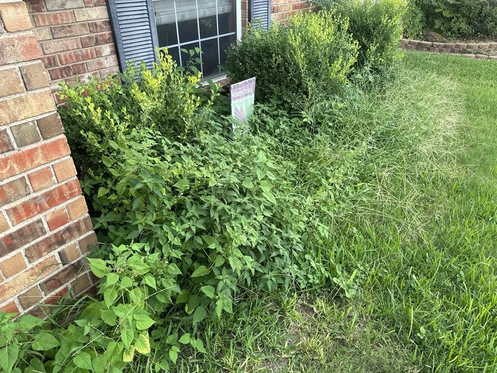 Custom lawn care service experts serving Arlington, TX - Cutting Edge Lawncare Service