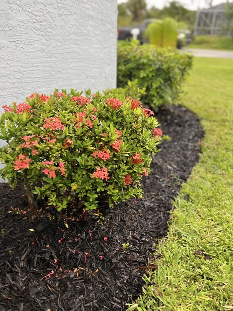 Expert lawn mowing service near you across Port St. Lucie, FL - Cutting Edge Lcs