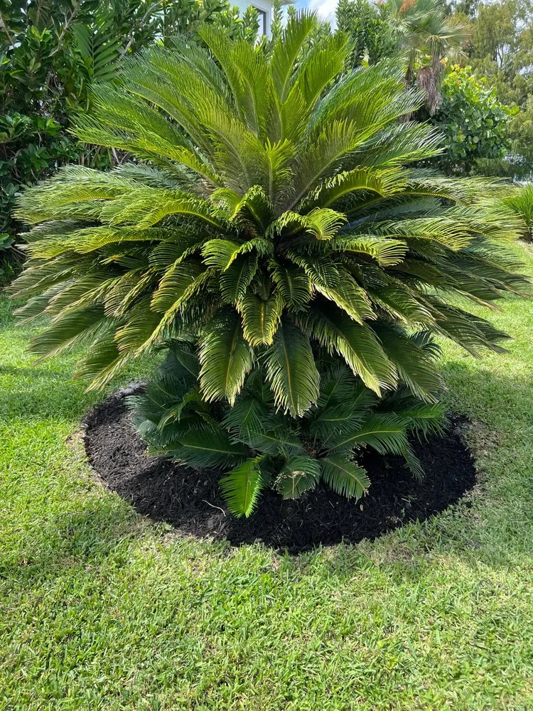 Professional outdoor landscaping for residential properties across Port St. Lucie, FL - Cutting Edge Lcs