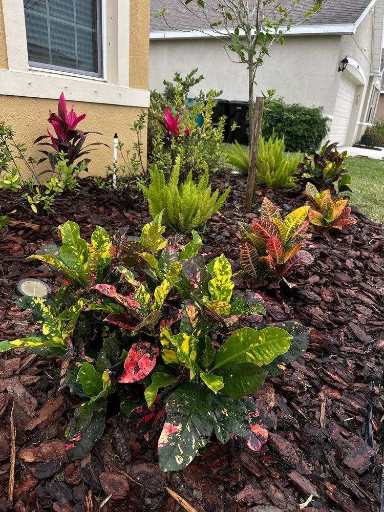 Expert lawn care service in Port St. Lucie, FL - Cutting Edge Lcs