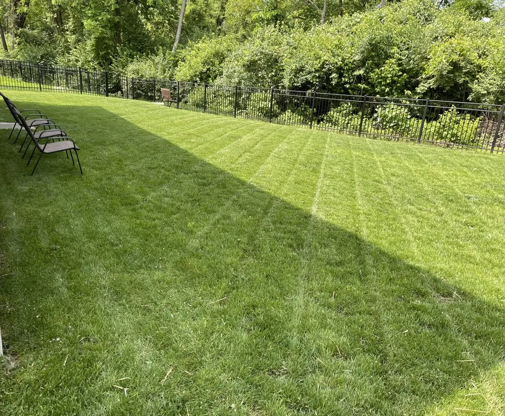 Affordable landscaping services experts serving Ludlow, KY - Cutting Edge