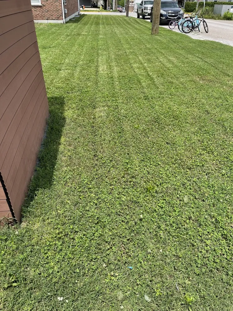 Top-rated lawn care service near you in Ludlow, KY by Cutting Edge