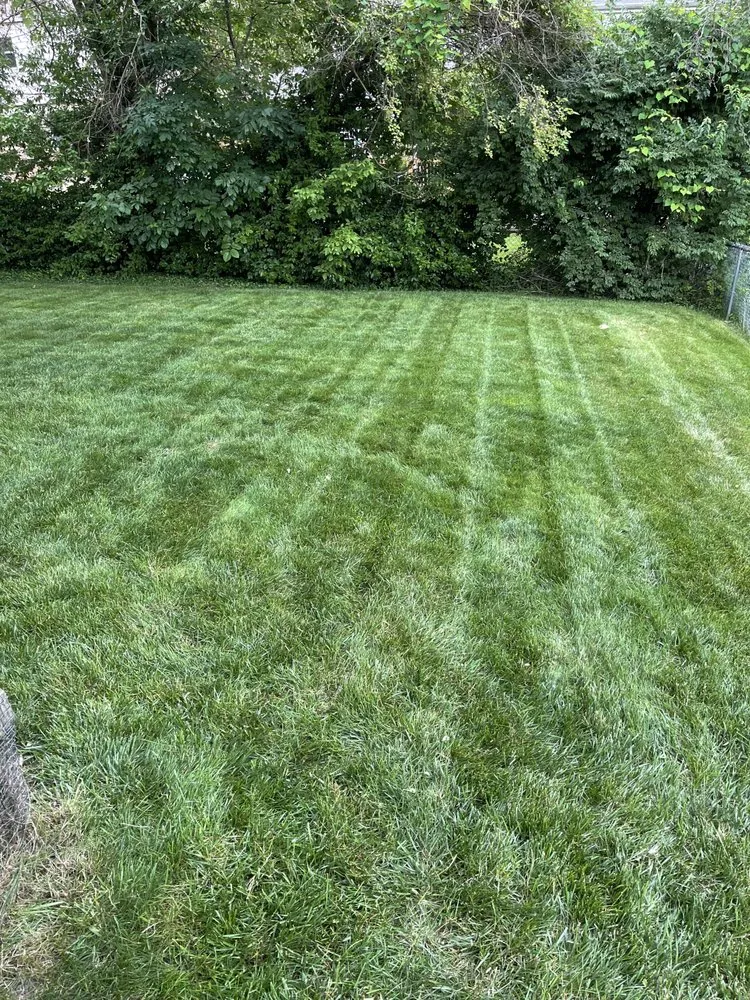 Custom yard cleanup service experts serving Ludlow, KY - Cutting Edge