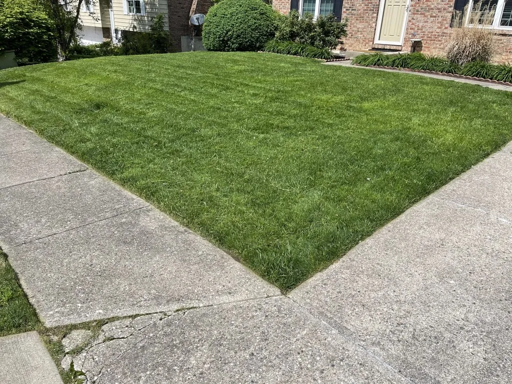 Professional lawn mowing service in Ludlow, KY by Cutting Edge