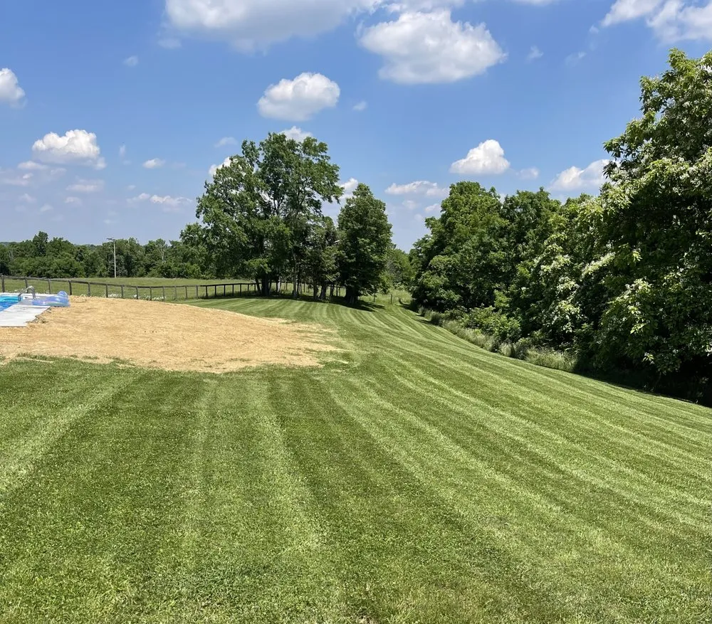 Affordable garden landscaping for year-round maintenance in Ludlow, KY by Cutting Edge