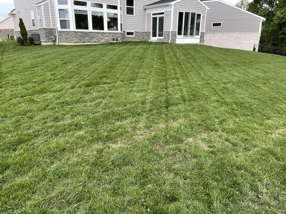 Local residential landscaping in Ludlow, KY by Cutting Edge