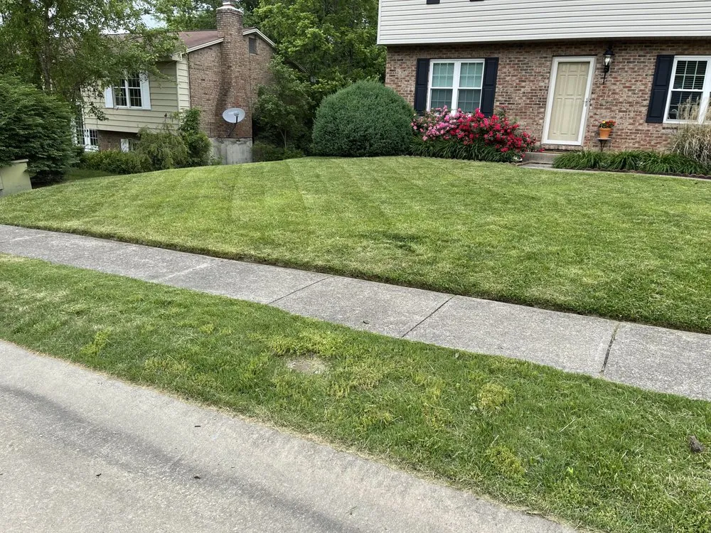 Reliable landscape design experts serving Ludlow, KY - Cutting Edge