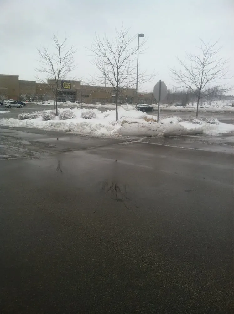 Professional outdoor landscaping in Spring Grove, IL - Cutting Edge Maintenance Ent. ltd.