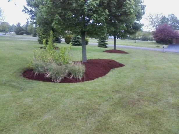 Trusted lawn care service in Spring Grove, IL - Cutting Edge Maintenance Ent. ltd.