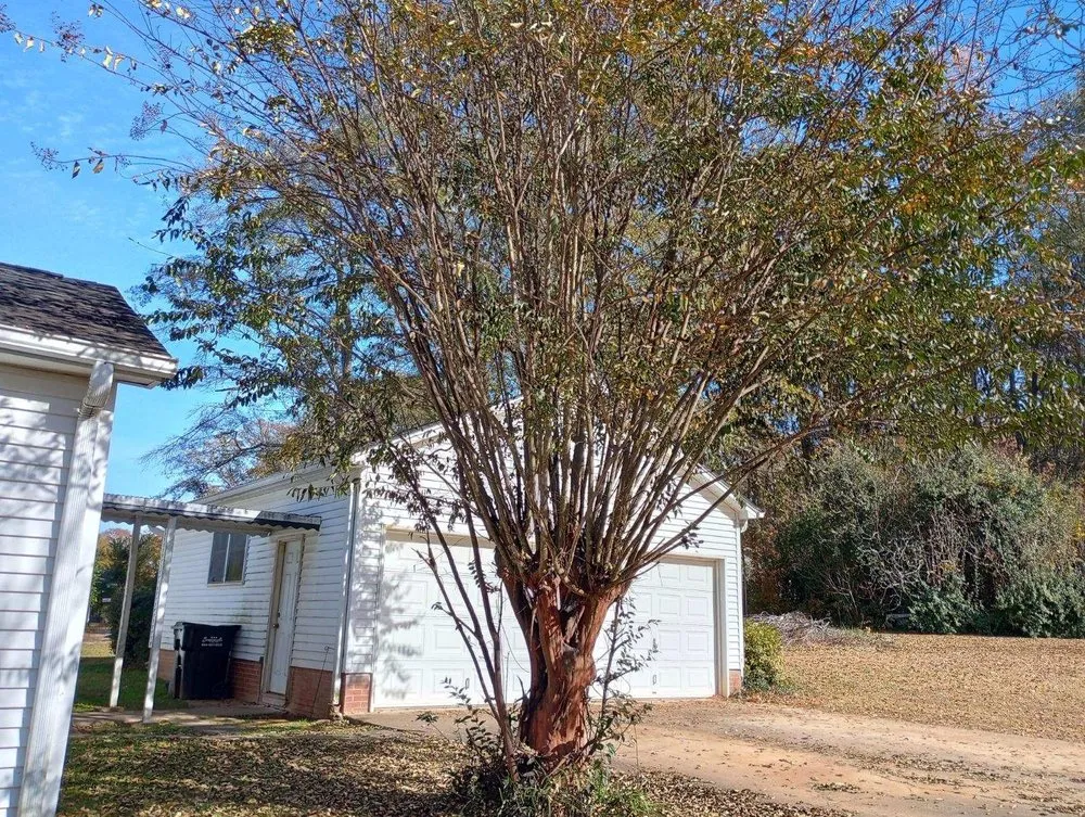 Top-rated yard cleanup service experts serving Greenville, SC - Cutting Edge Mowing & Washing