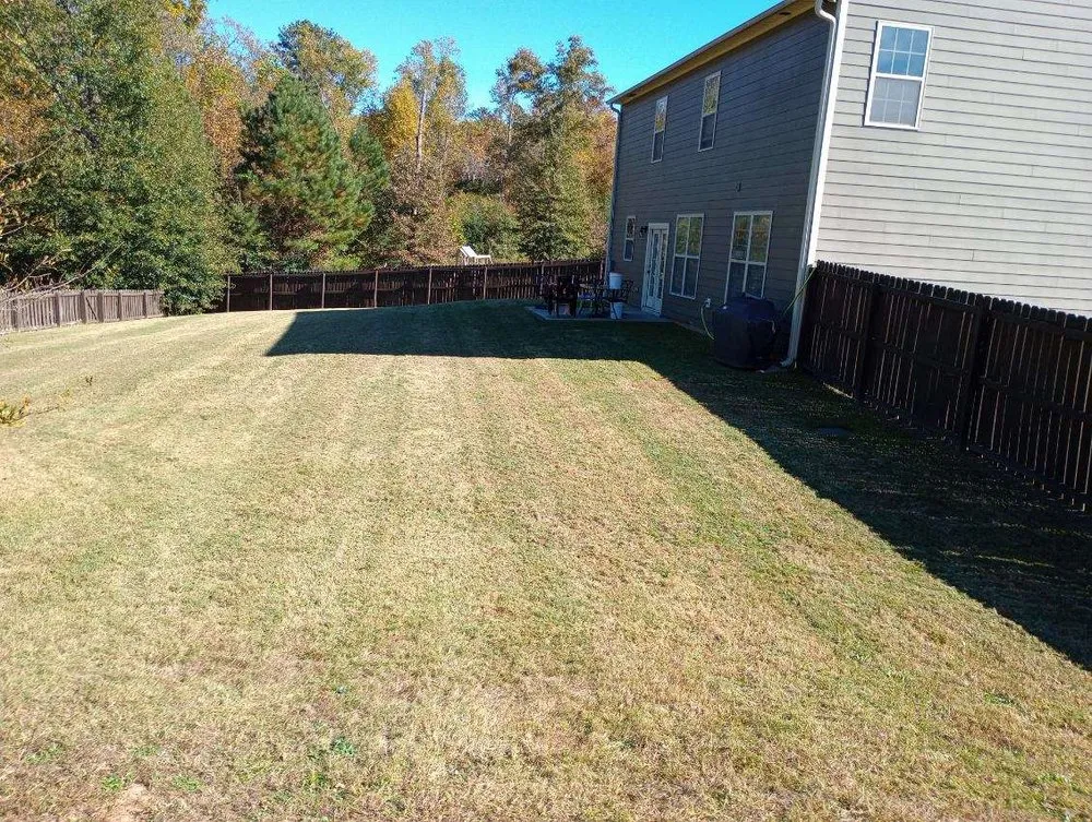 Professional lawn care service near you in Greenville, SC by Cutting Edge Mowing & Washing