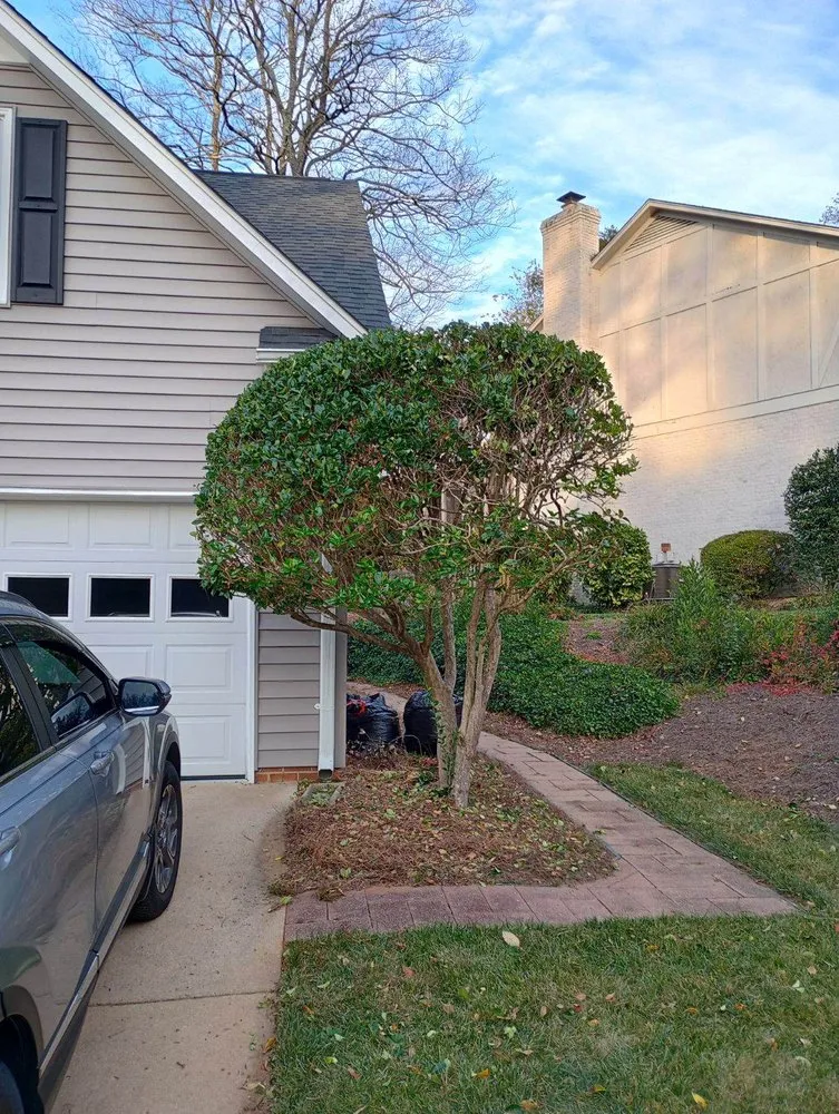 Local lawn care service for beautiful yards across Greenville, SC - Cutting Edge Mowing & Washing