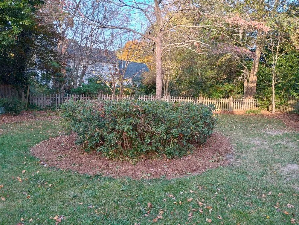 Trusted garden landscaping for outdoor upgrades in Greenville, SC by Cutting Edge Mowing & Washing