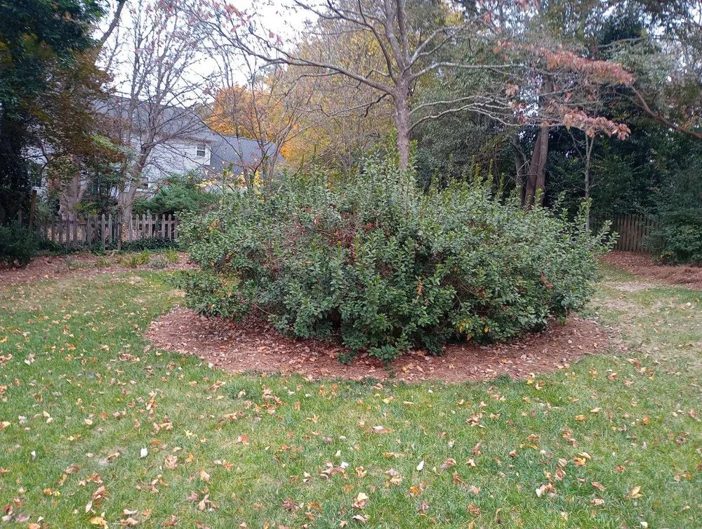 Expert landscape design for outdoor upgrades across Greenville, SC - Cutting Edge Mowing & Washing