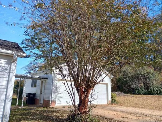 Cutting Edge Mowing & Washing Logo
