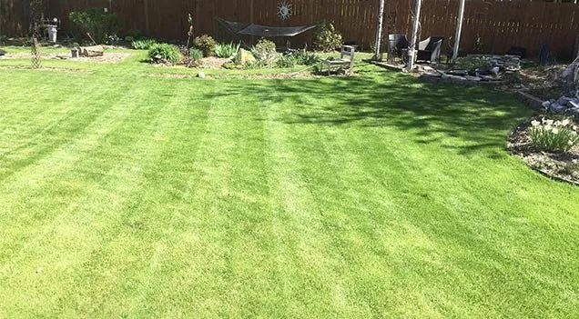 Expert landscape design in Pittsburgh, PA by Cutting Edge Mowing