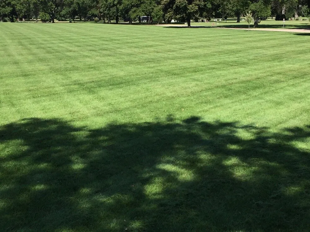 Affordable residential landscaping with custom design in Milton, WI by Cutting Edge of Wisconsin