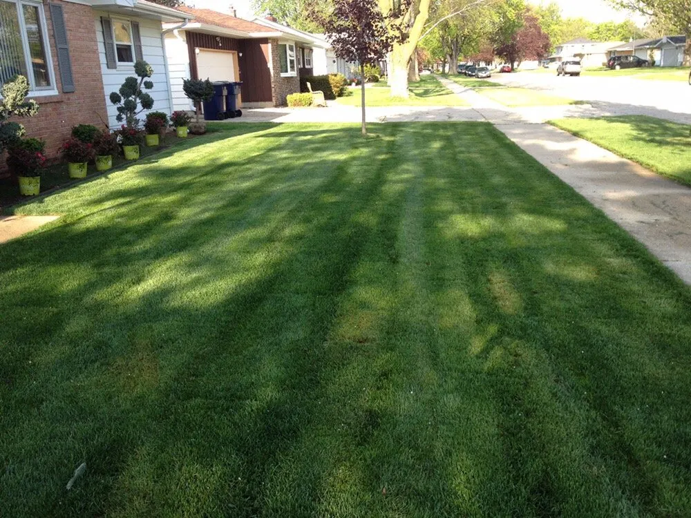 Affordable landscaping services for beautiful yards in Milton, WI by Cutting Edge of Wisconsin