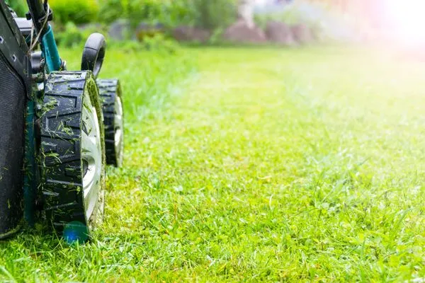 Cutting Edge Outdoor Services