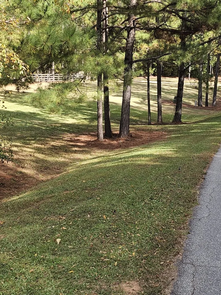 Trusted yard maintenance in Griffin, GA by Cutting Edge Pro