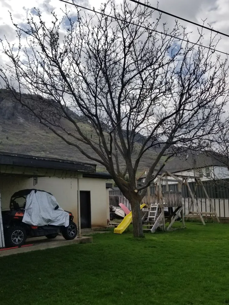 Trusted yard maintenance for year-round maintenance in Harrisville, UT by Cutting Edge Professional