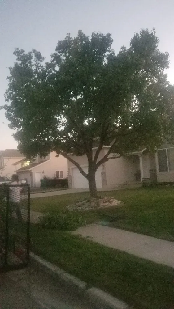 Top-rated yard cleanup service in Harrisville, UT - Cutting Edge Professional