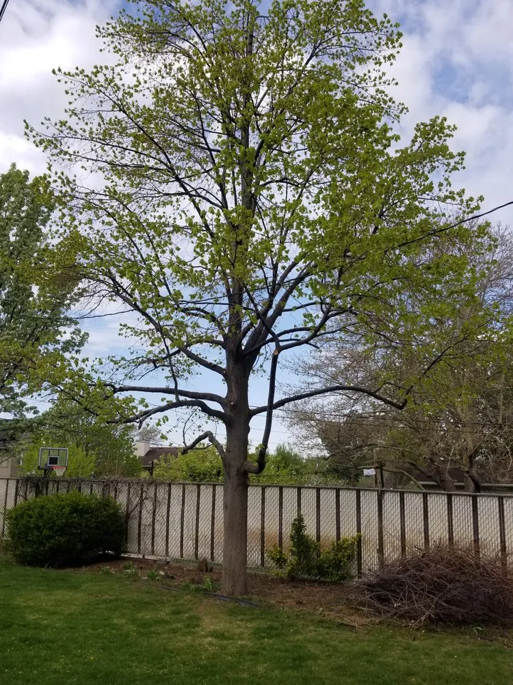 Professional residential landscaping with custom design across Harrisville, UT - Cutting Edge Professional