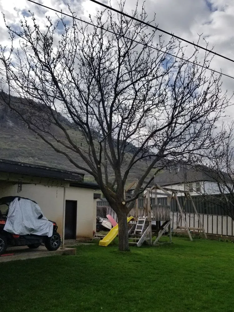 Custom residential landscaping experts serving Harrisville, UT - Cutting Edge Professional