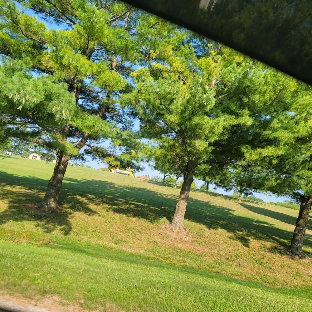 Trusted yard cleanup service in Barryton, MI by Cutting Edge Property Enhancemant