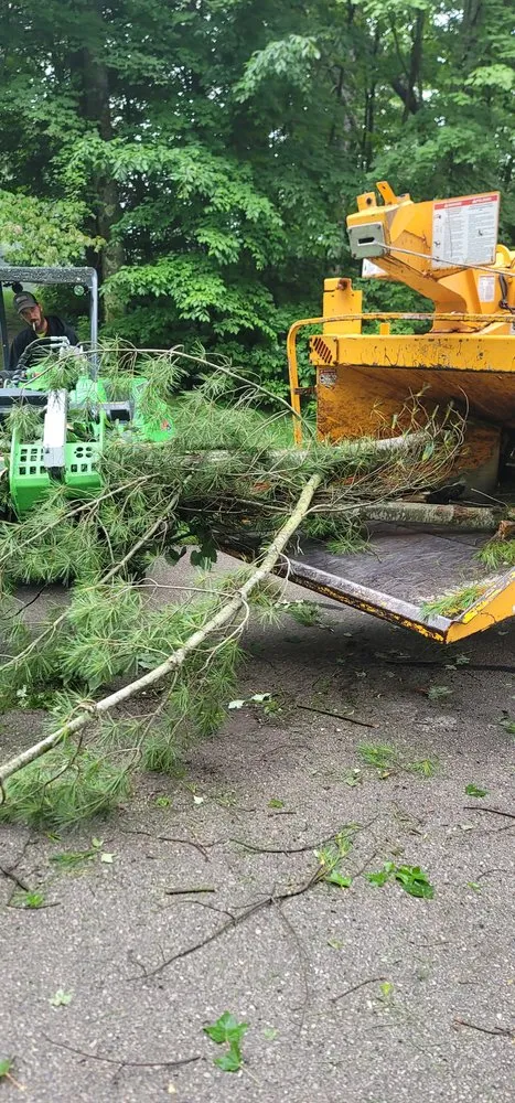 Custom yard cleanup service experts serving Barryton, MI - Cutting Edge Property Enhancemant