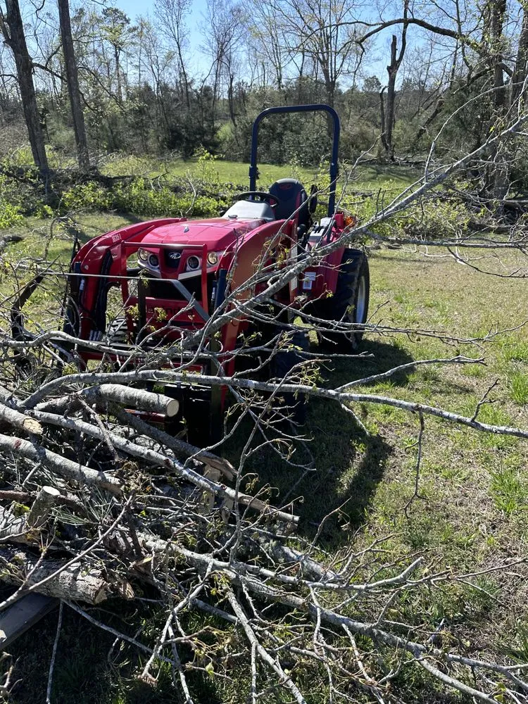 Expert landscaping services in Guntown, MS by Cutting Edge Property Service