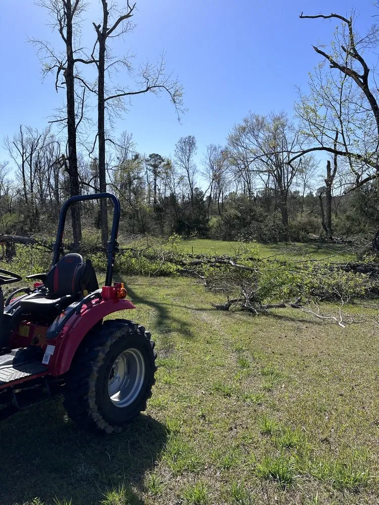 Local landscaping services experts serving Guntown, MS - Cutting Edge Property Service
