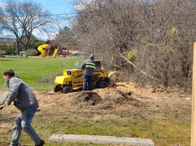 Trusted garden landscaping for homes in Villa Park, IL by Cutting Edge Property Service