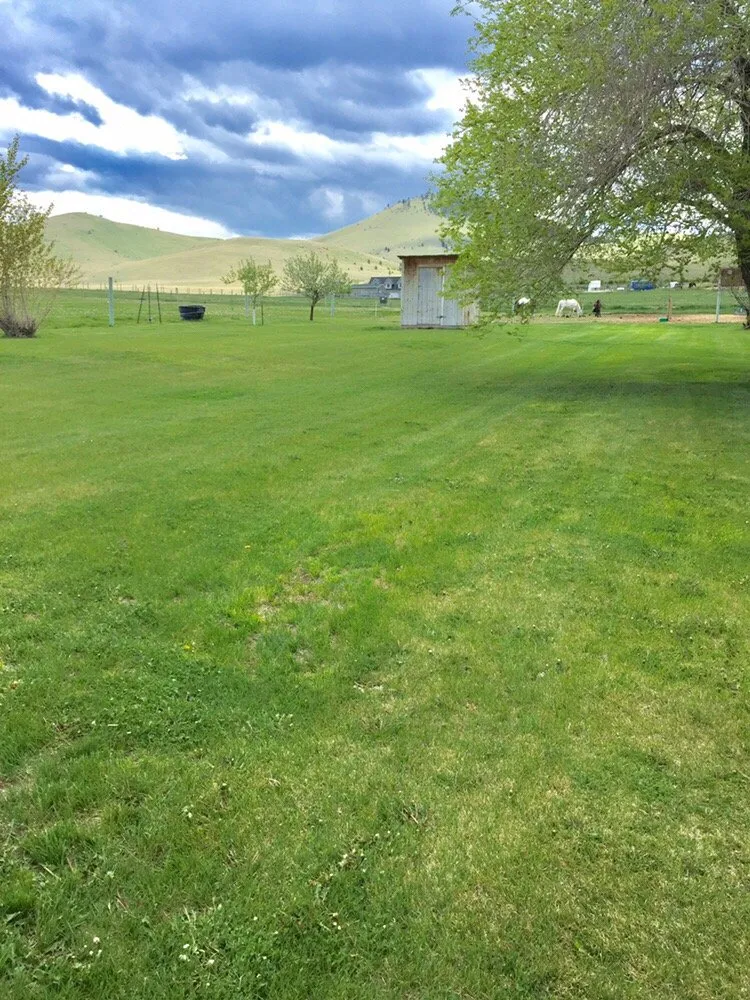 Professional yard maintenance in Helena, MT by Cutting Edge Property Services