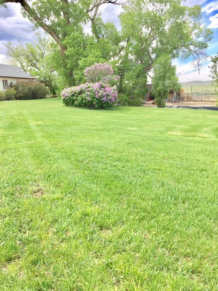 Custom landscape installation in Helena, MT - Cutting Edge Property Services