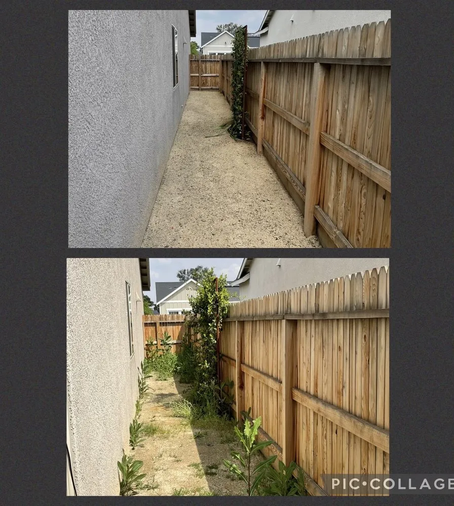 Expert residential landscaping in Fresno, CA by Cutting Edge Property Solutions