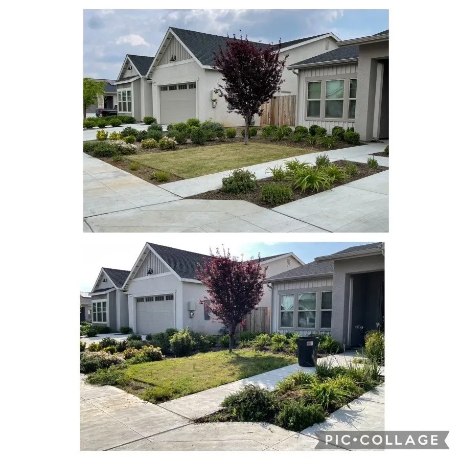 Trusted landscape installation for outdoor upgrades across Fresno, CA - Cutting Edge Property Solutions