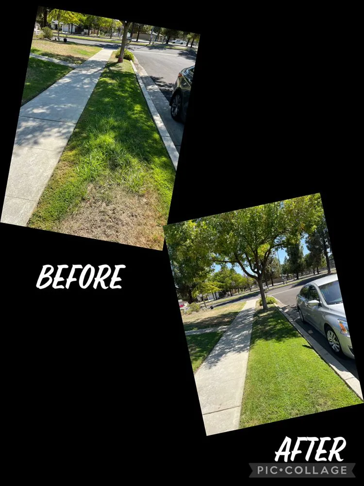 Trusted lawn mowing service in Fresno, CA - Cutting Edge Property Solutions