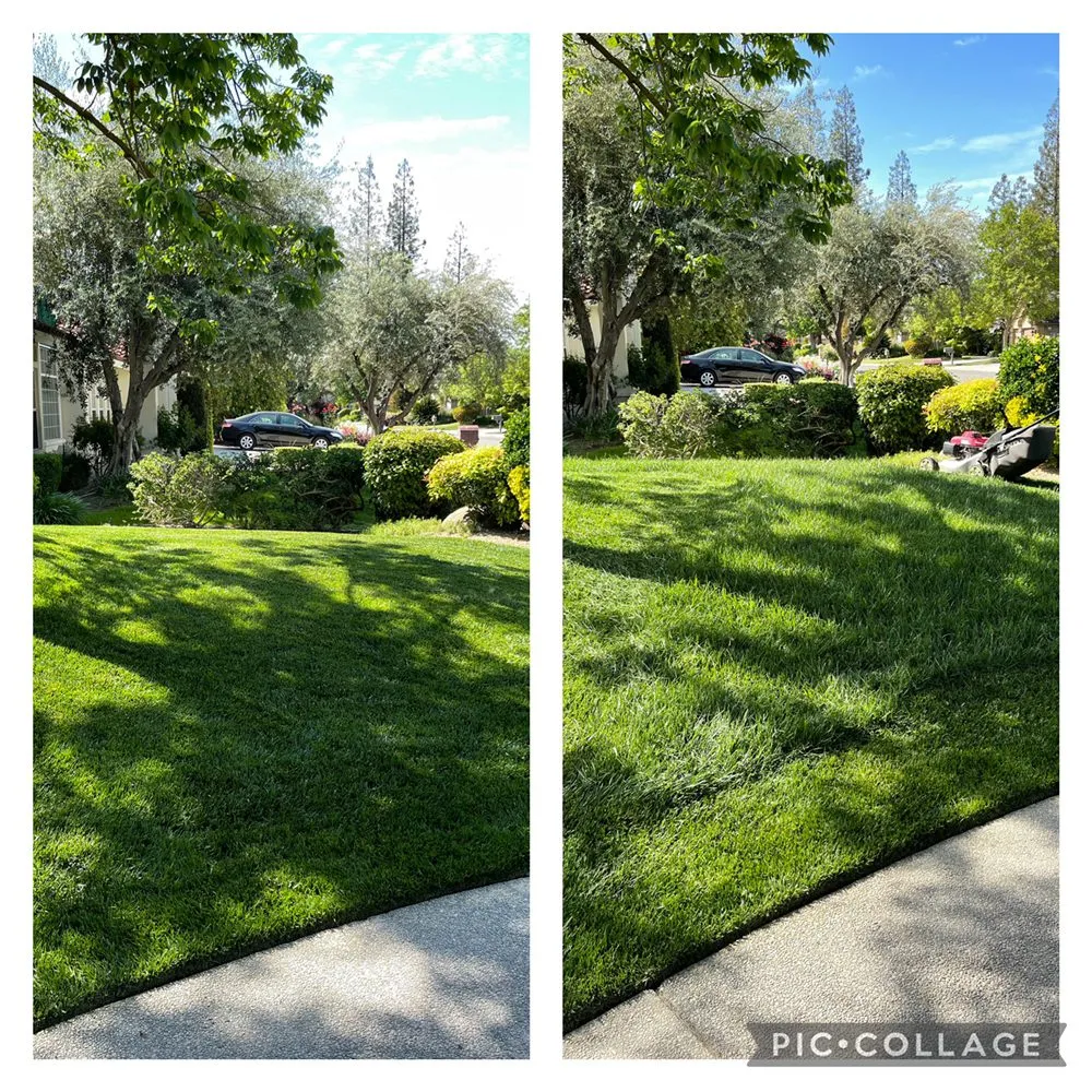 Trusted lawn mowing service in Fresno, CA - Cutting Edge Property Solutions