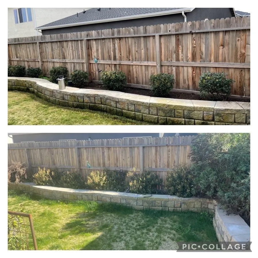 Custom yard cleanup service in Fresno, CA by Cutting Edge Property Solutions