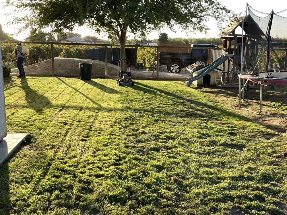 Reliable residential landscaping in Fresno, CA - Cutting Edge Property Solutions