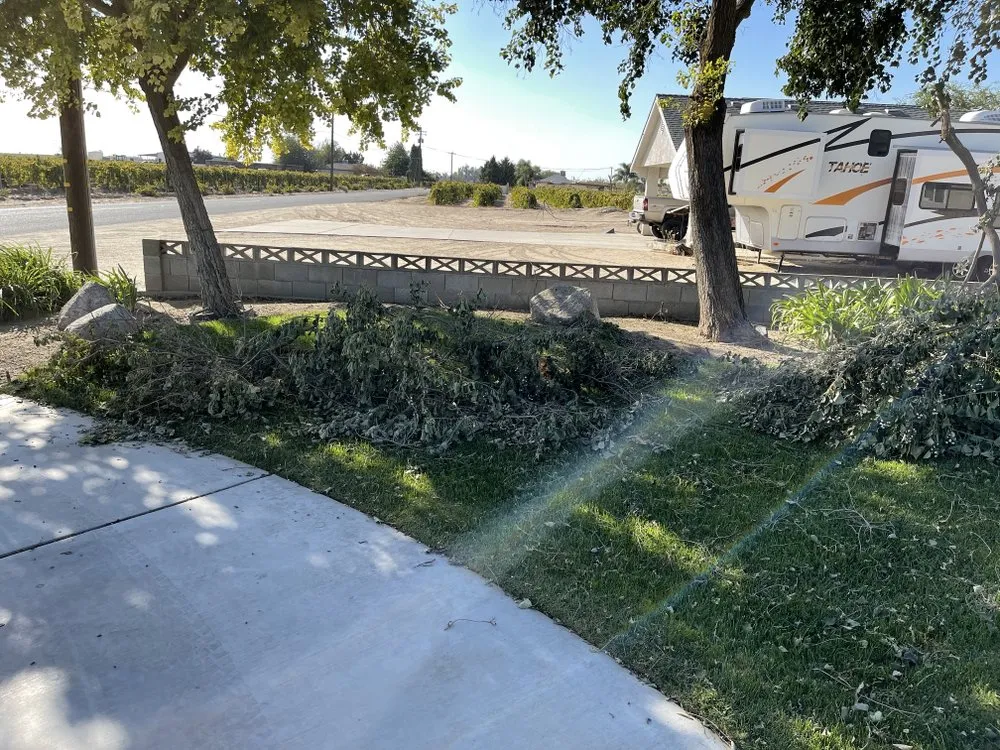 Affordable lawn mowing service experts serving Fresno, CA - Cutting Edge Property Solutions