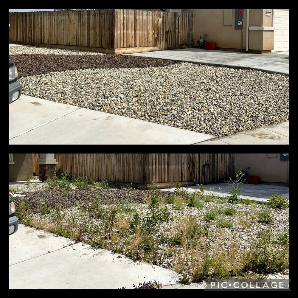 Affordable outdoor landscaping with custom design across Fresno, CA - Cutting Edge Property Solutions