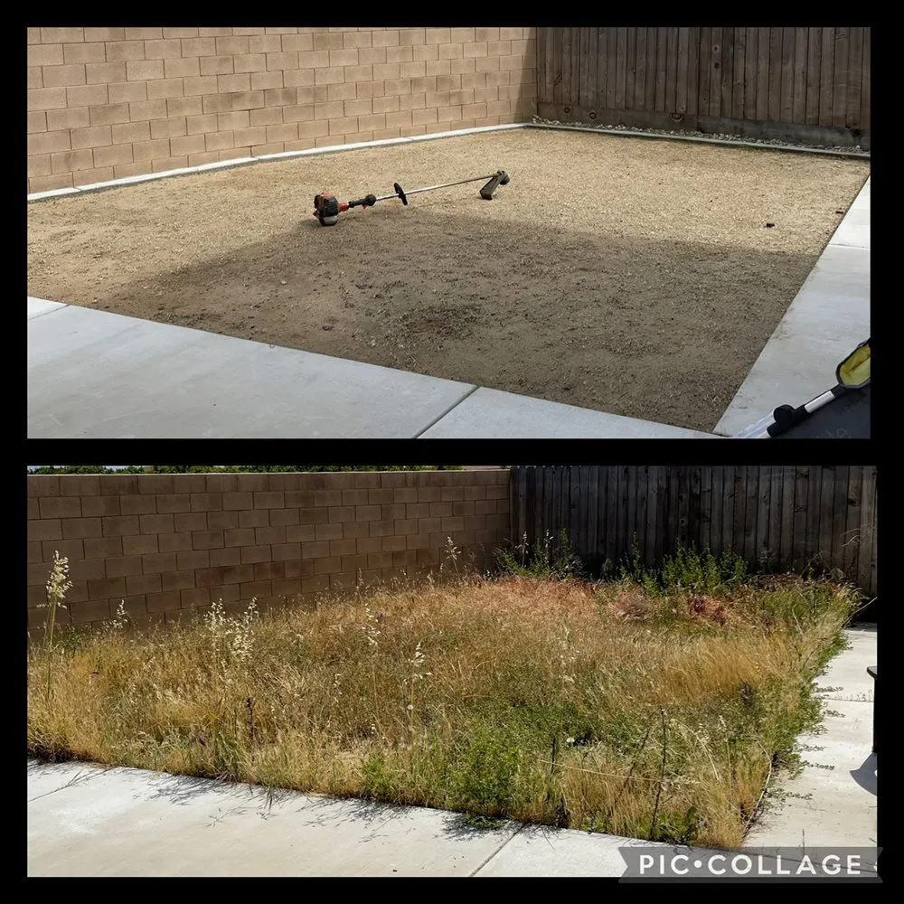 Reliable outdoor landscaping in Fresno, CA by Cutting Edge Property Solutions